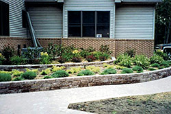 Schutz's Landscape & Design