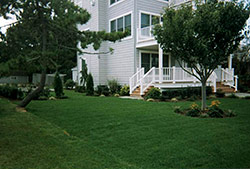 Schutz's Landscape & Design